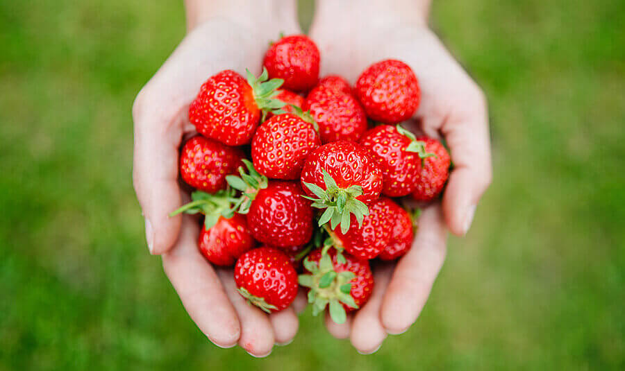 One curabitur lobortis est at odio imperdiet