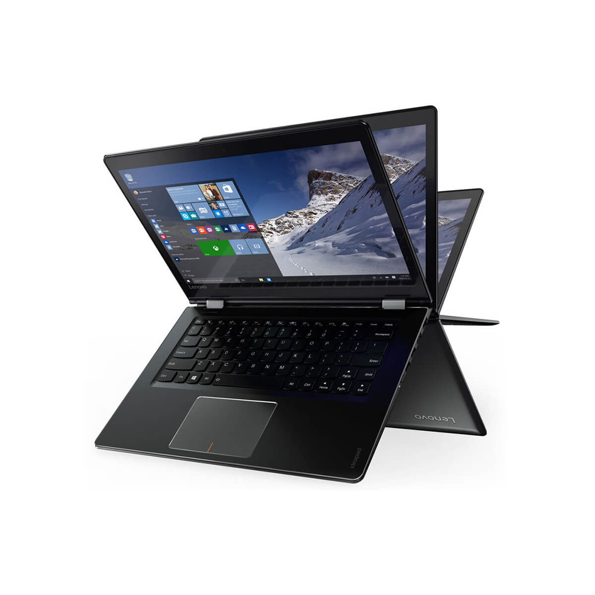 Oak Cheese Grater Oak Cheese Grater